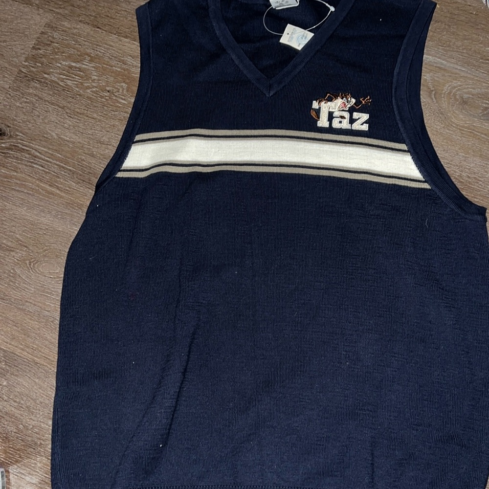 Warner Bros.  Looney Tunes Tasmanian Devil Blue striped sweater vest. M. NWT.